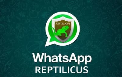Как отследить WhatsApp переписку