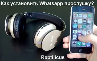 Как установить контроль над Whatsapp