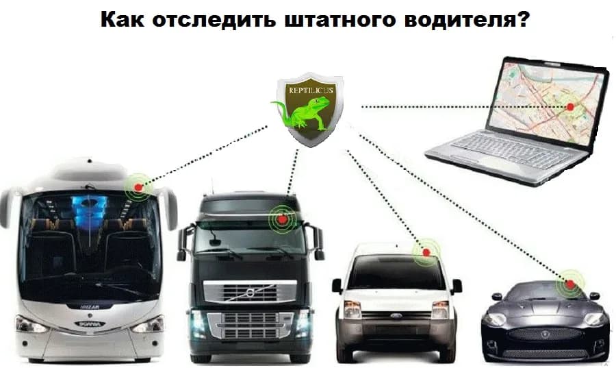 Приложение слежения за водителем — Reptilicus