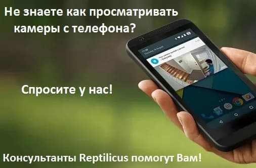 Как просматривать через телефон камеры видеонаблюдения