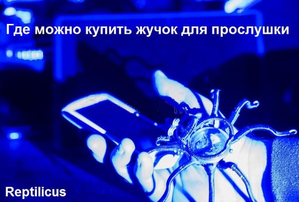 Где можно купить жучок для прослушки