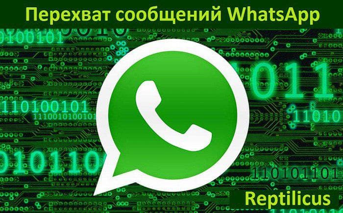Мониторинг WhatsApp