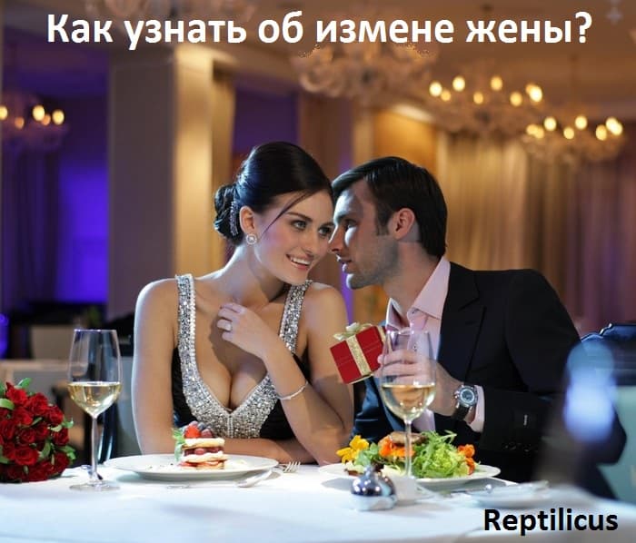 Как узнать измену жены в 2025 году — 7 рабочих способов с Reptilicus