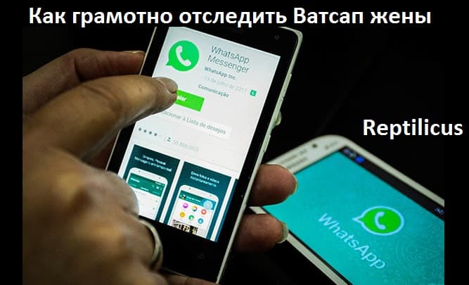 Как грамотно отследить Ватсап жены
