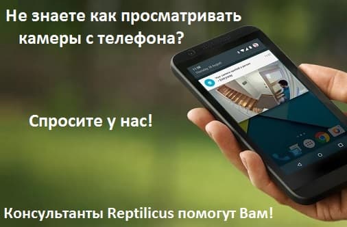 Как просматривать через телефон камеры видеонаблюдения