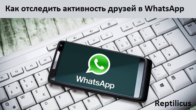 Как отследить активность друзей в WhatsApp в 2025 году — обзор лучших способов