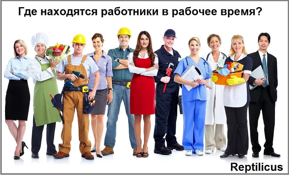 Где находятся работники в рабочее время?