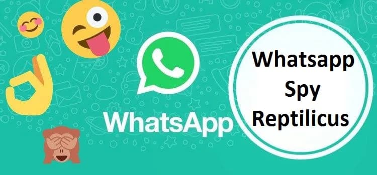 Полноценный контроль за WhatsApp подростка