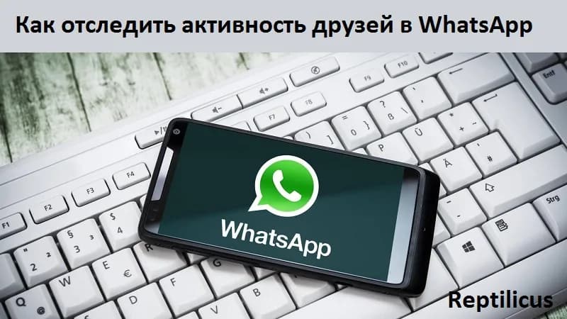 Как отследить активность друзей в WhatsApp в 2025 году — обзор лучших способов
