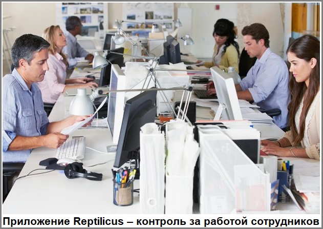 Приложение-логгер Reptilicus – позволяет следить за работой сотрудников законно Приложение-логгер Reptilicus – позволяет следить за работой сотрудников законно