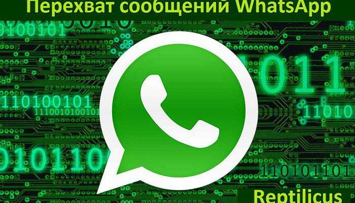 Мониторинг WhatsApp