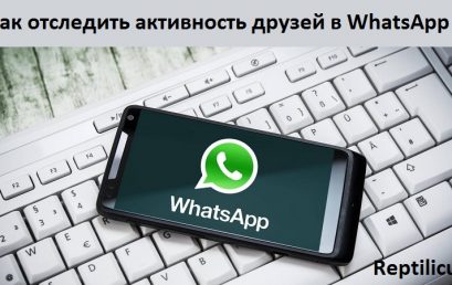Как отследить активность друзей в WhatsApp: обзор