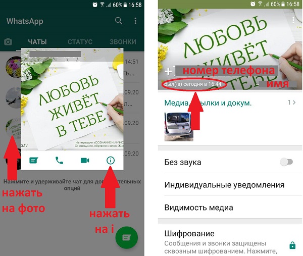 Программа отслеживающая посещение whatsapp